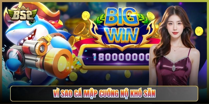 Vì Sao Cá Mập Cuồng Nộ Khó Săn