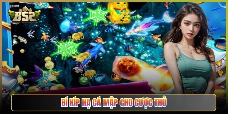 Bí Kíp Hạ Cá Mập Cho Cược Thủ