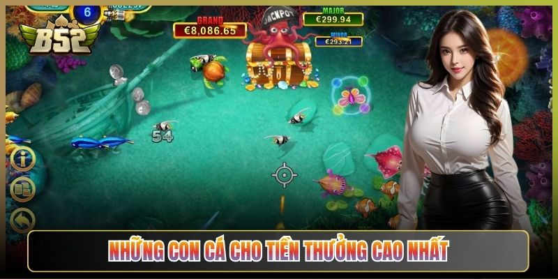 Những Con Cá Cho Tiền Thưởng Cao Nhất