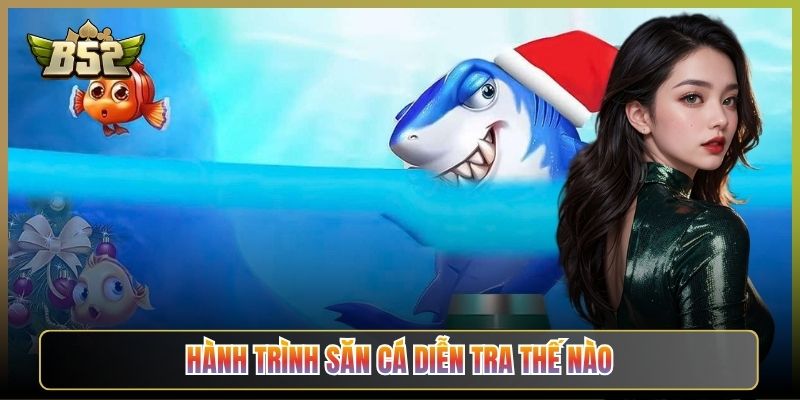 Hành Trình Săn Cá Diễn Tra Thế Nào