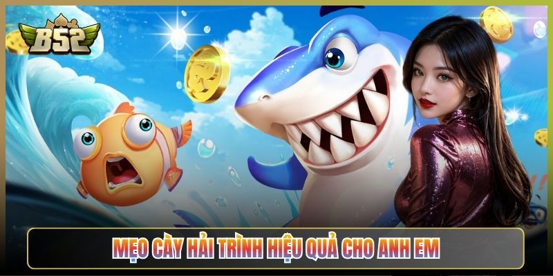 Mẹo Cày Hải Trình Hiệu Quả Cho Anh Em