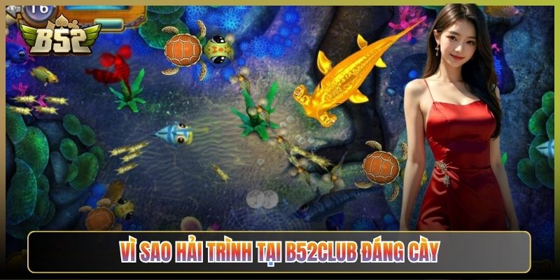 Vì Sao Hải Trình Tại B52Club Đáng Cày