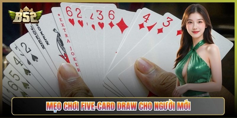Mẹo Chơi Five-Card Draw Cho Người Mới