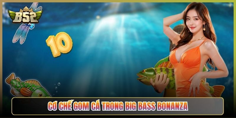 Cơ Chế Gom Cá Trong Big Bass Bonanza