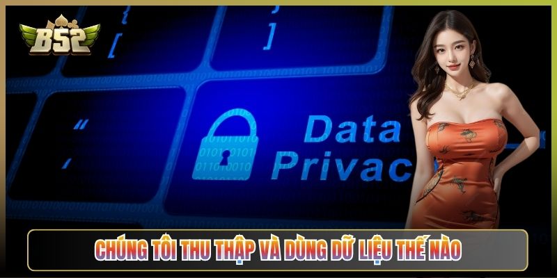 Chúng Tôi Thu Thập Và Dùng Dữ Liệu Thế Nào